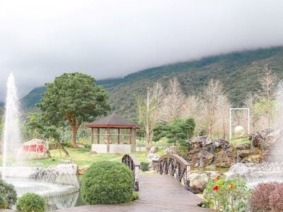花蓮美食海鮮創作無菜單料理，4000坪落羽松庭園美景超好拍