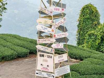 1314觀景台｜一生一世愛情塔和滿山的茶園，情侶必拍的熱門景點