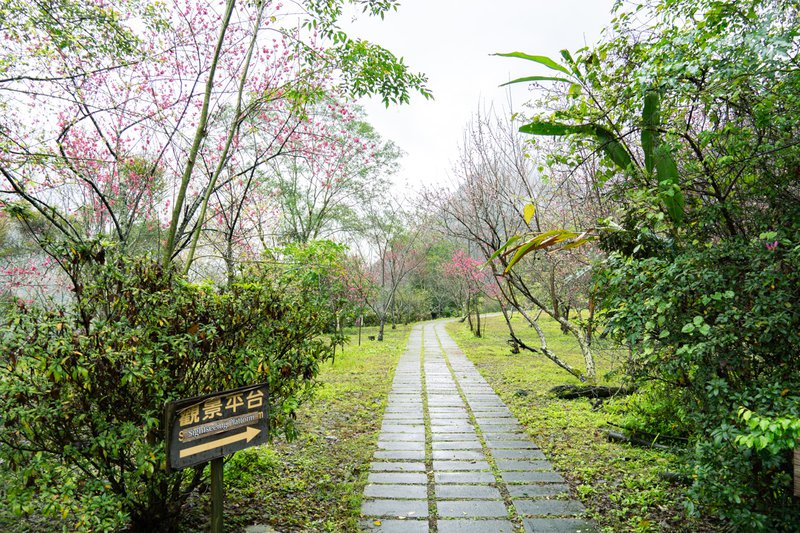 太魯閣山月村，峽谷中的小木屋，體驗部落文化與生態之美！
