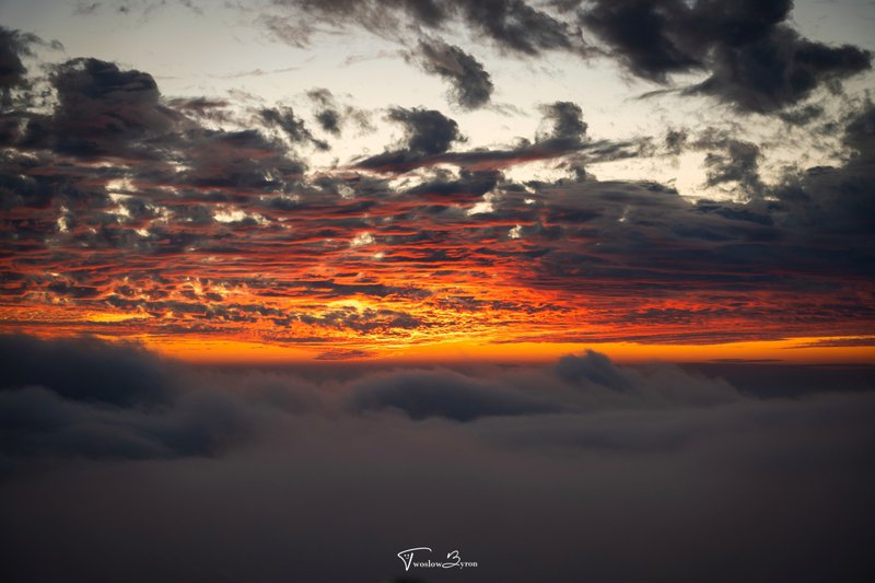 苗栗薑麻園瞭望台｜輕鬆到達雲海觀賞點！夕陽下的雲海絕景