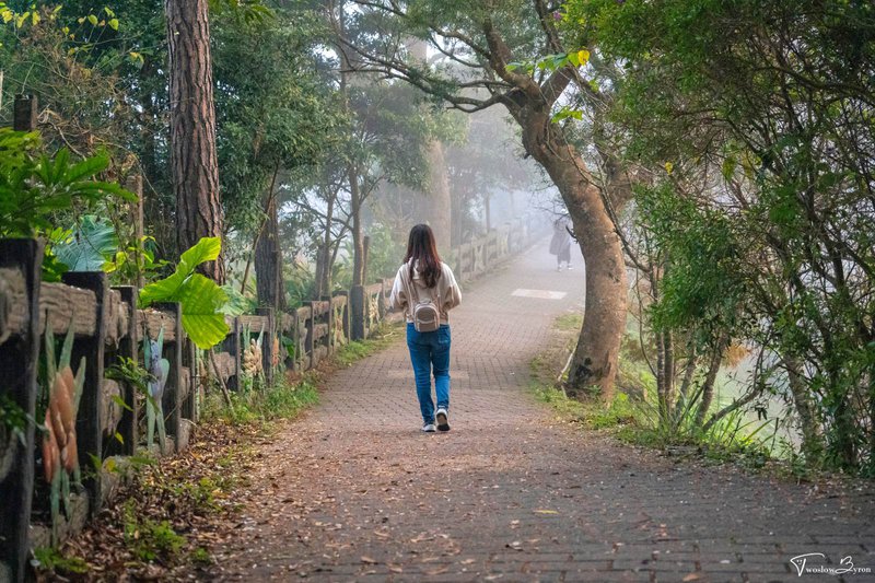 苗栗薑麻園瞭望台｜輕鬆到達雲海觀賞點！夕陽下的雲海絕景