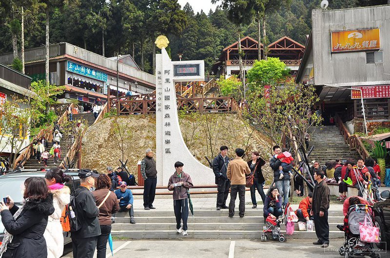 嘉義．阿里山森林遊樂區 | 阿里山、奮起湖 |